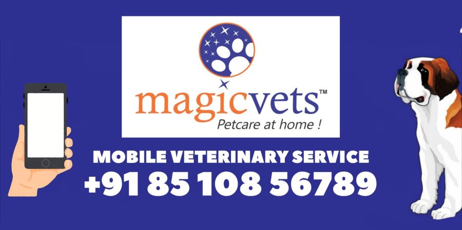 Petcare Services